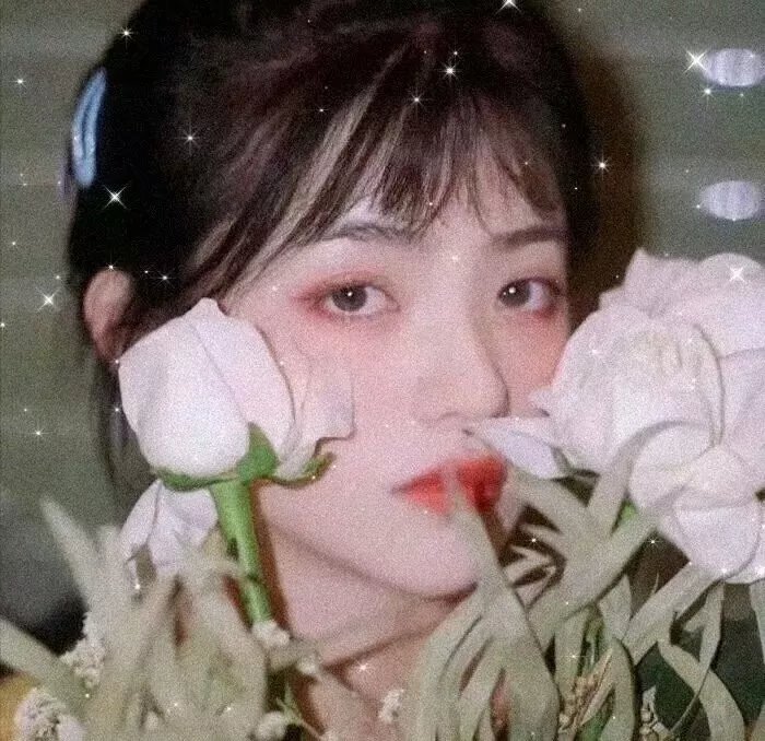 车手